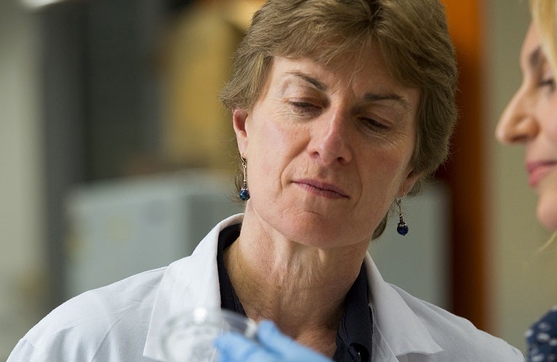 Prof Diane Fatkin looking at a petri dish Prof Diane Fatkin looking at a petri dish